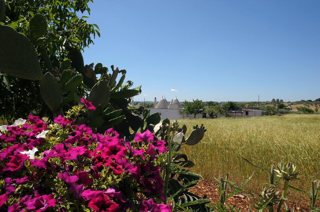 Trulli Βίλα Μαρτίνα Φράνκα Εξωτερικό φωτογραφία